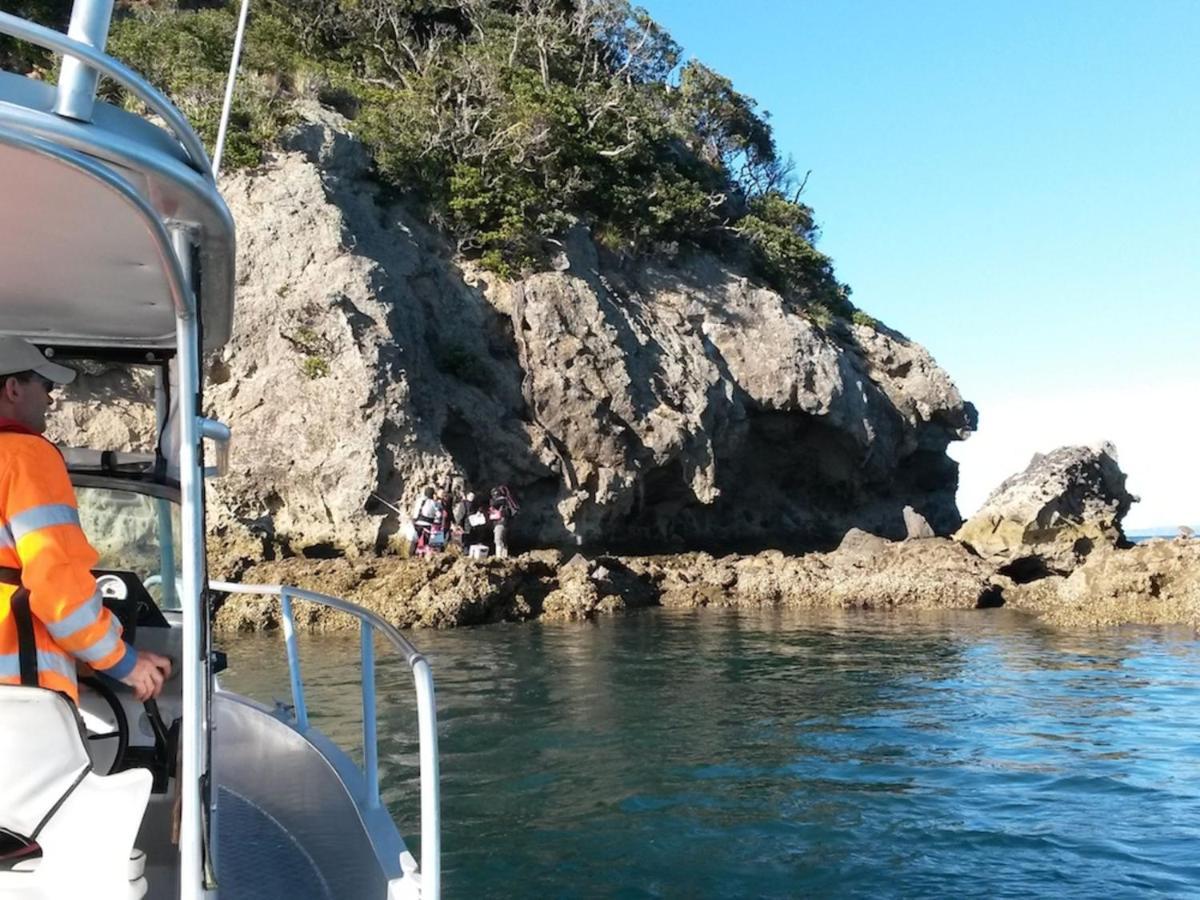 Anglers Lodge Coromandel Bagian luar foto