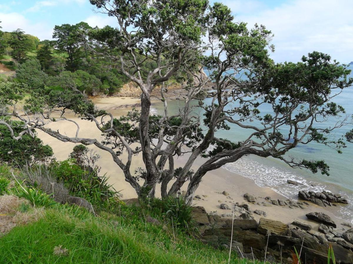 Anglers Lodge Coromandel Bagian luar foto